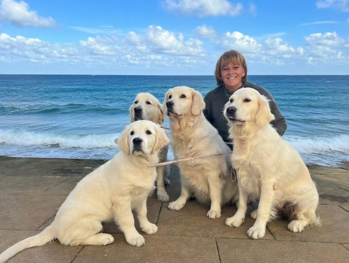 Strathlon Golden Retrievers website